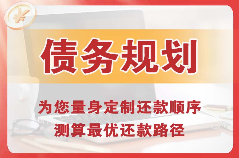雄县债务规划